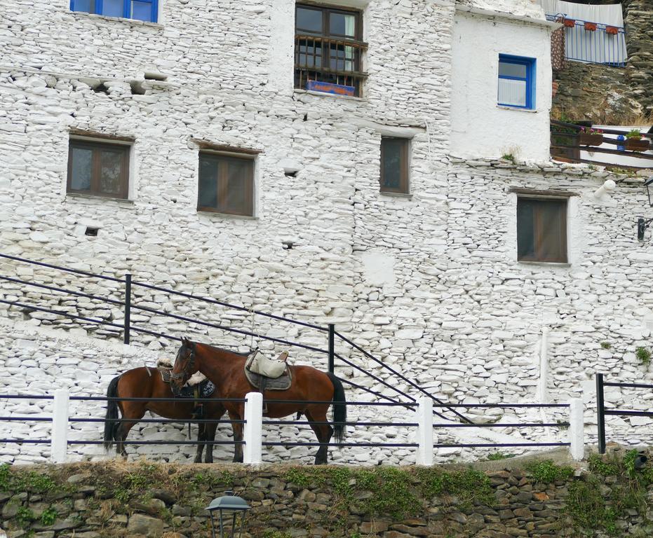 La Casa De La Bombilla Verde Trevelez Exterior photo
